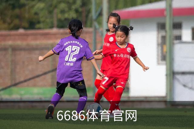 6686体育官网公司简介图片
